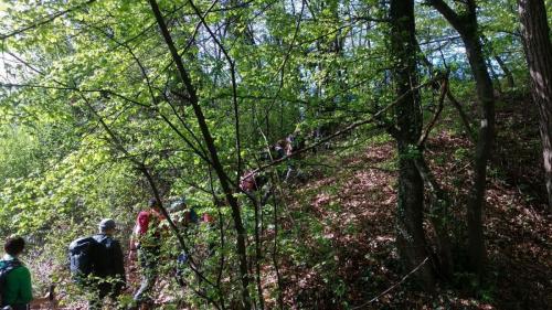 Dan Planinarskog društva Zagorske steze Zabok