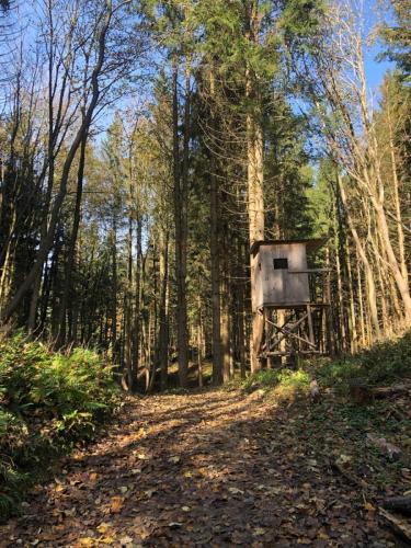 Kopitnik i Stražnik