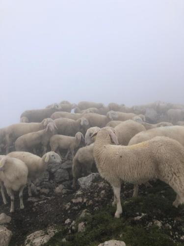 Krn i Batognica