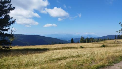 Rogla, Pogorje