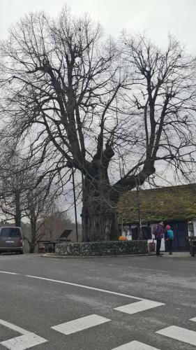 Bedekovčina – Dubovec – Gornja Stubica