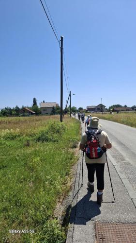 Javorova staza zdravlje, 2025