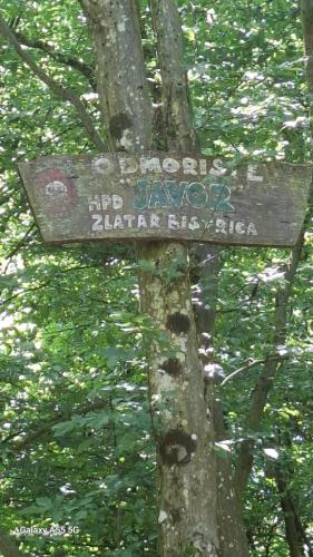 Javorova staza zdravlje, 2025