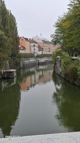Slovenija i Istra
