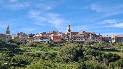 Slovenija i Istra