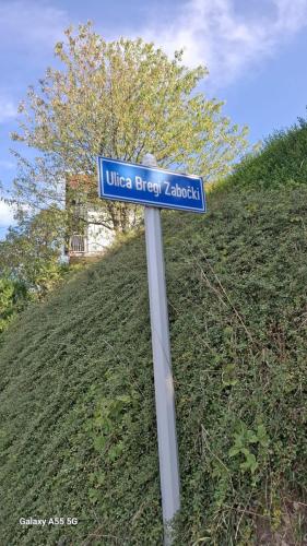 Zabočki bregi