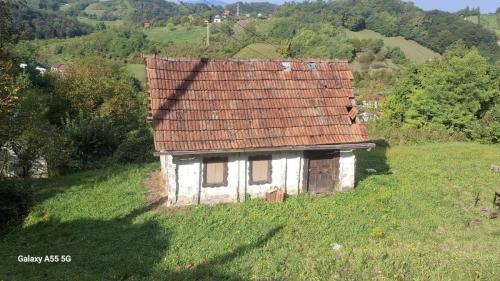 Zabočki bregi