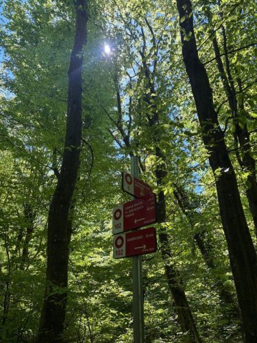 Vrapčanska obilaznica