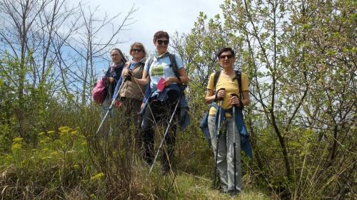 Dan Planinarskog društva Zagorske steze Zabok