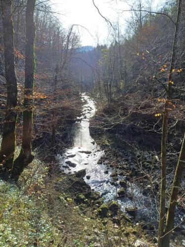 Park šuma Golubinjak, Ravna Gora, Javorova kosa i kanjon Kamačnik