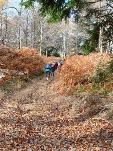 Park šuma Golubinjak, Ravna Gora, Javorova kosa i kanjon Kamačnik