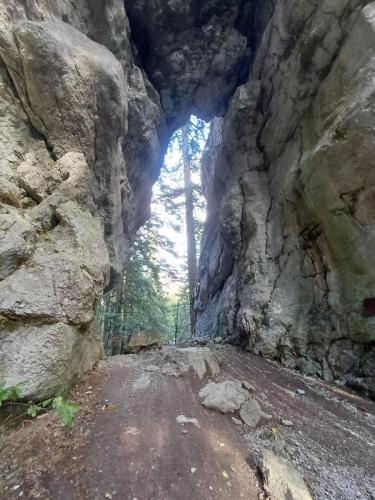 Park šuma Golubinjak, Ravna Gora, Javorova kosa i kanjon Kamačnik