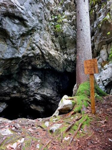 Park šuma Golubinjak, Ravna Gora, Javorova kosa i kanjon Kamačnik