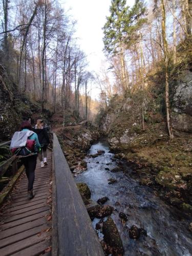 Park šuma Golubinjak, Ravna Gora, Javorova kosa i kanjon Kamačnik