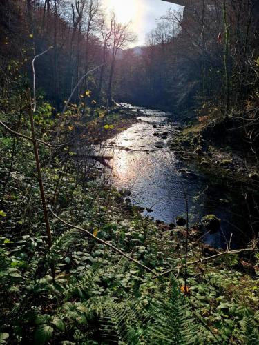 Park šuma Golubinjak, Ravna Gora, Javorova kosa i kanjon Kamačnik