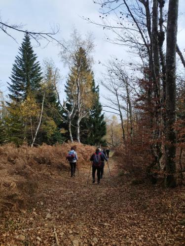 Park šuma Golubinjak, Ravna Gora, Javorova kosa i kanjon Kamačnik