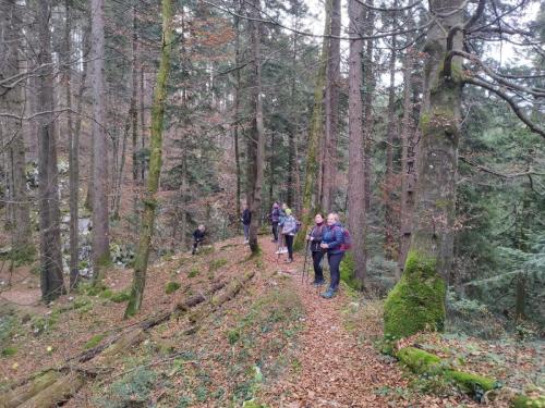 Park šuma Golubinjak, Ravna Gora, Javorova kosa i kanjon Kamačnik