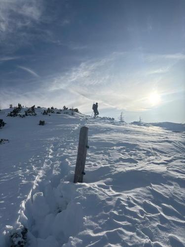 Bistriška špica (Feistitzer Spitze 2113 m)