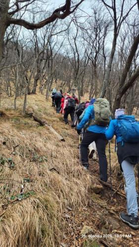 Čemšeniška planina