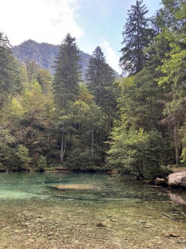 Grintovec i Skuta