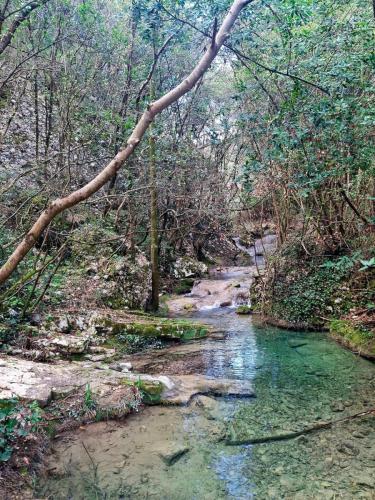 Društveni izlet Labin - Rabac