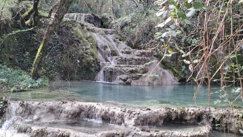 Društveni izlet Labin - Rabac