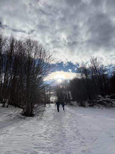 Kamešnica-Konj