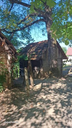 Šetnica-po-dragom-kraju, Konjščina 2025