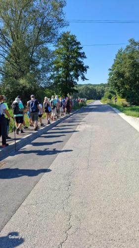 Šetnica-po-dragom-kraju, Konjščina 2025