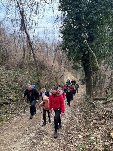 Kostelska gora – Dječja planinarska škola