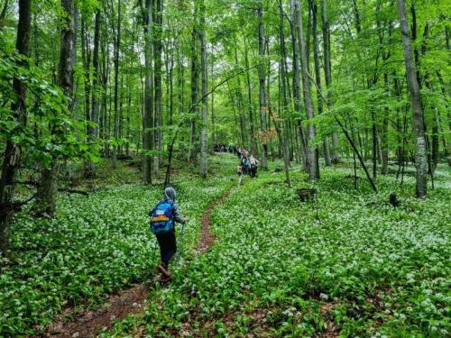 Papuk - Dječja planinarska škola