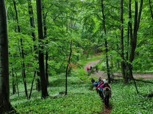 Papuk - Dječja planinarska škola