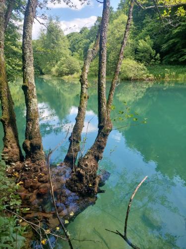 Izvor Slunjčice – Slunj (Rastoke)