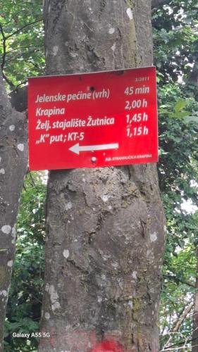 Strahinjčica