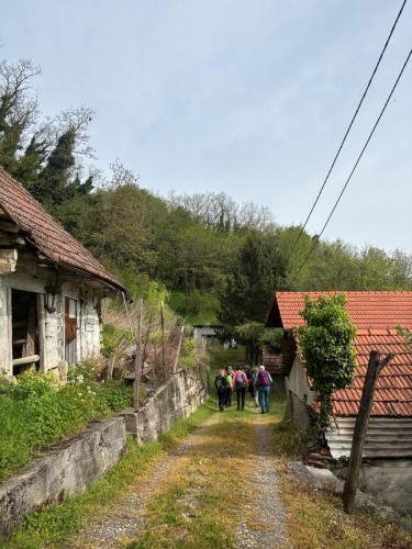 Strugača 2025