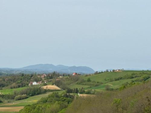 Strugača 2025