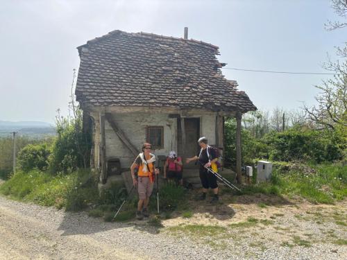 Strugača 2025