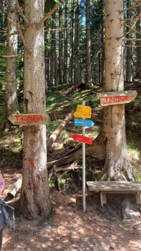 Tromeja (Peč)