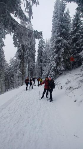 Uršlja gora