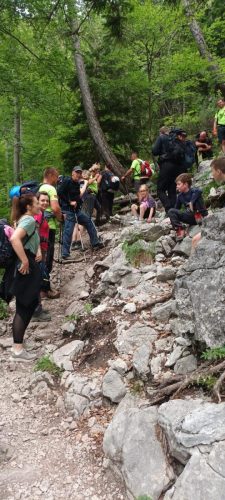 Brana, Kmniško-Savinjske aple