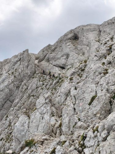 Brana, Kmniško-Savinjske aple