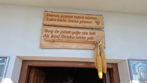 Branje grojzdja 2026