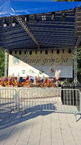 Branje grojzdja 2026