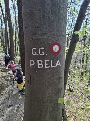 Čevo - dječja planinarska škola