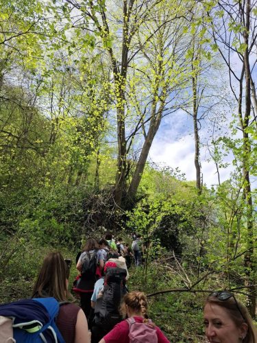 Čevo - dječja planinarska škola