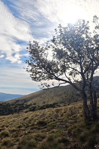 Grobničke Alpe