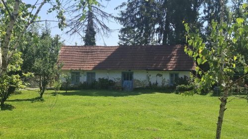 28. pohod Javorova staza zdravlje