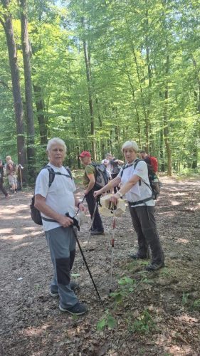 28. pohod Javorova staza zdravlje