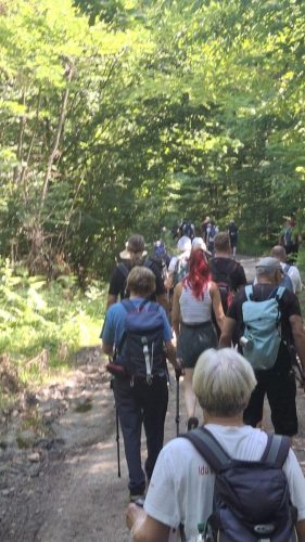 28. pohod Javorova staza zdravlje