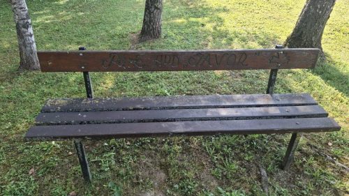 28. pohod Javorova staza zdravlje